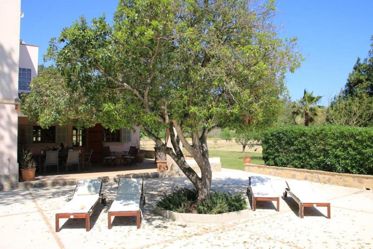 Vakantiehuis Sa Canova Petra (Mallorca)